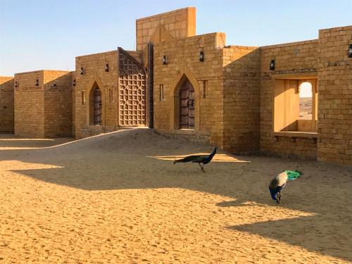 Sam Other | Discover The Kafila Desert Camp: Pet-Friendly Oasis Awaits
