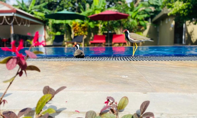 Negombo Resort | Discover The Kingslayer Resort: Family-Friendly Ocean Retreat