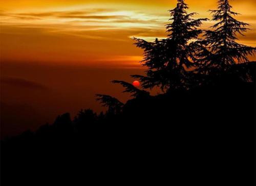 Fagu Hotel | Discover Kufri Castle: Family-Friendly Retreat in Nature