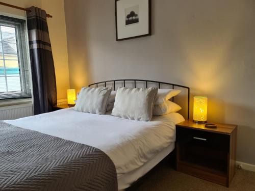 Rhayader Hotel | Pet-Friendly Getaway at The Lamb and Flag Inn