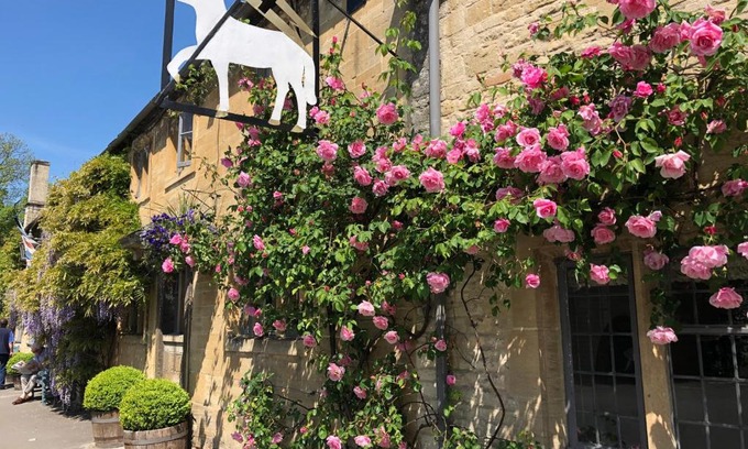 Burford Hotel | Discover The Lamb Inn: Family & Pet Friendly Retreat
