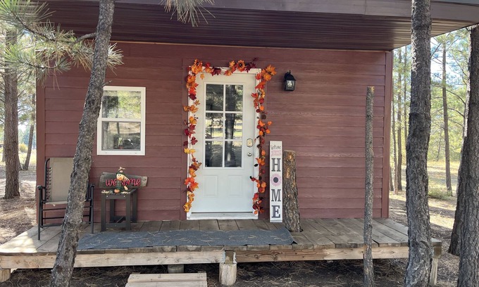 Edgemont Cabin | Cozy Cabin Retreat Near Trails and Family-Friendly Perks
