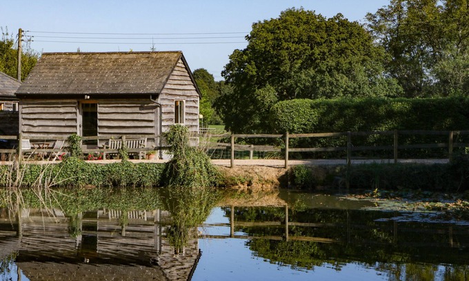 New Forest District Cottage | Pet-Friendly Retreat at The Little Granary, Rated 9/10