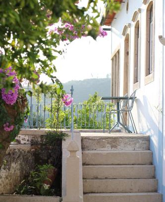 Alvaiazere House | Discover The Little Olive Quinta: Pet-Friendly Retreat