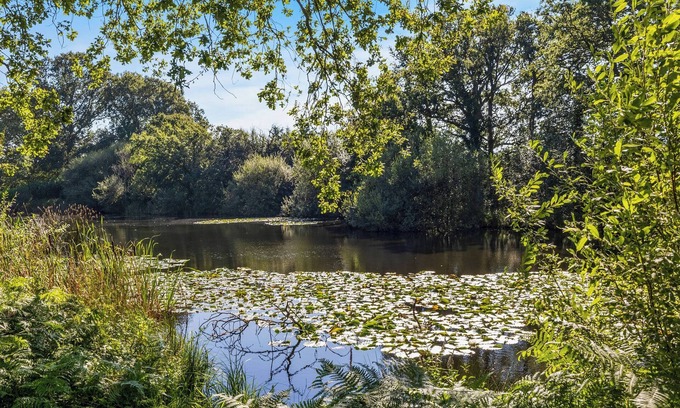 Plaistow Cottage | Marvelous Retreat with Woods, Fishing Lake & Guest Rated 10/10
