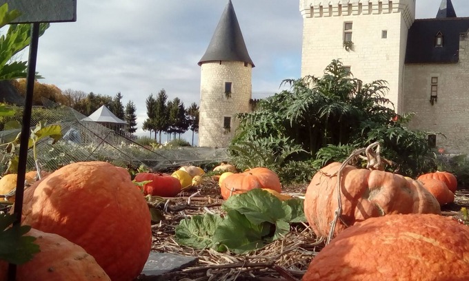 Saint-Avertin House | Relax at Eleven Acres: Eco-Friendly Retreat in Touraine