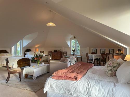 Auckland Bed & Breakfast | Experience The Loft at Henton Lodge: Oceanfront Bliss