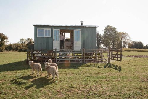 St Mary's Bay House | Family-Friendly Retreat at The Lookerer by Bloom Stays