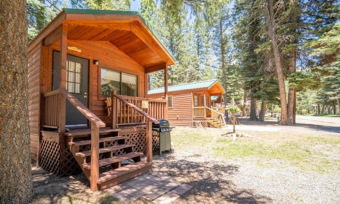 Bayfield House | Cozy Lupine Cabin #10 at Blue Spruce RV Park & Cabins