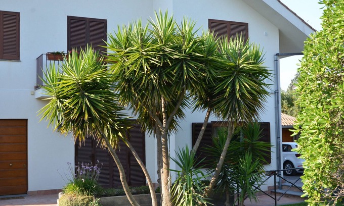 Nicolosi House | Ocean View Holiday Home with Breakfast & Perfect Reviews