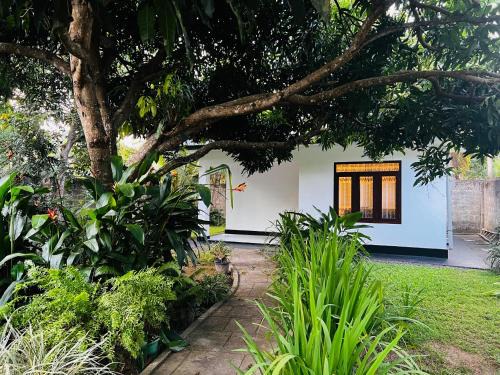 Thalaramba Villa | Top-Rated Oceanfront Stay at The Mango Retreat