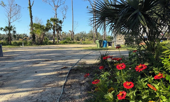 Steinhatchee RV Rental | Experience 5-Star Comfort at The Cabin Lake Retreat