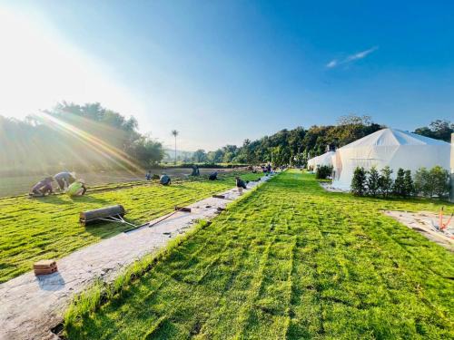 Mae Sa Other | Welcome to The Meadow Resort: Family and Pet-Friendly Escape