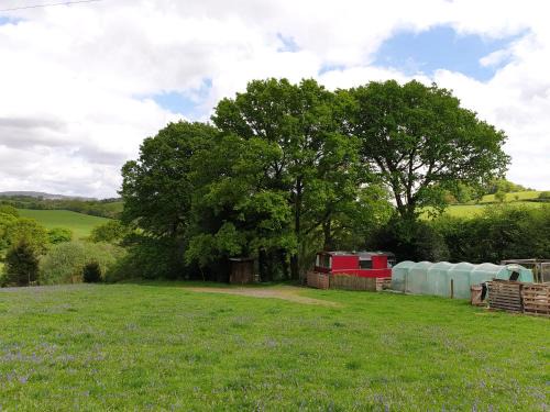 Morwellham Other | Family-Friendly Megabus Hotel Near Tavistock & Dartmoor