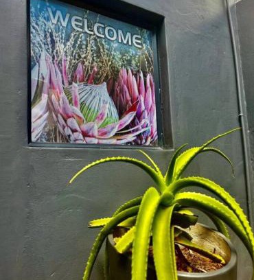 Howick House | The Midlands Protea