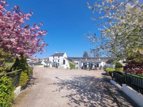 Buckie Hotel | Pet-Friendly Oceanfront Retreat at The Mill House Hotel