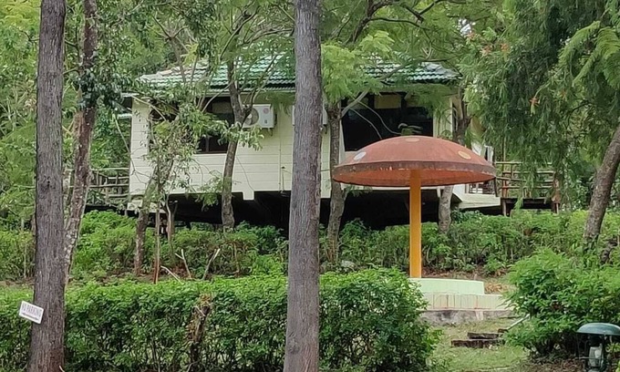 Masinagudi Hotel | The Monarch Masinagudi by Mithun Hotels