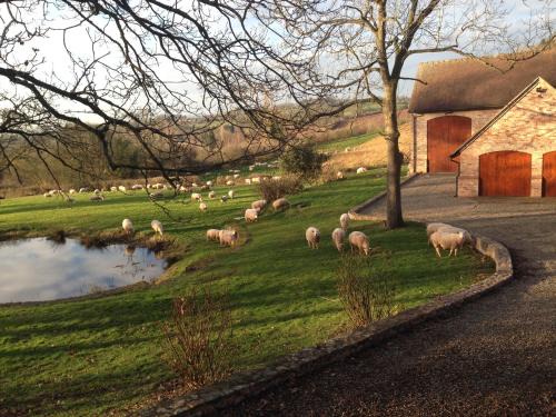 Hay-on-Wye House | Discover The Motor House: Guest Rated 9.6/10 for Quality