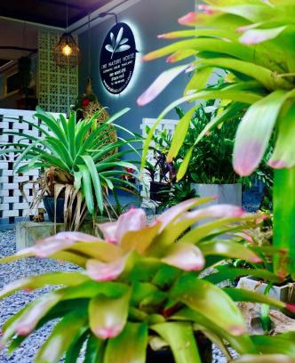 Krabi House | Discover The Nature House Aonang: Family-Friendly Retreat