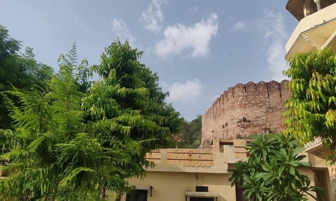 Jaipur House | Experience Nature's Beauty at The Nature Palace Hotel