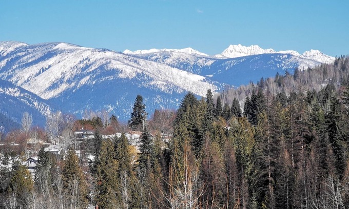 Nelson Ski Chalet | Guest Rated 10/10: The Nelson Penthouse with Pet-Friendly Perks