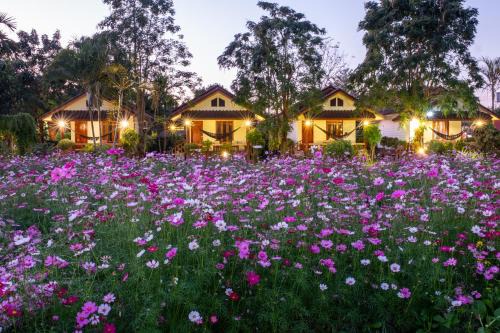 Pai Resort | Discover The Nest House: Family-Friendly Retreat Awaits