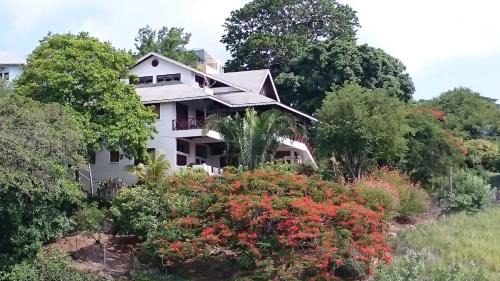 Buccoo Apartment | Oceanfront Comfort at The Nest Tobago Apartments - Rated 9.5