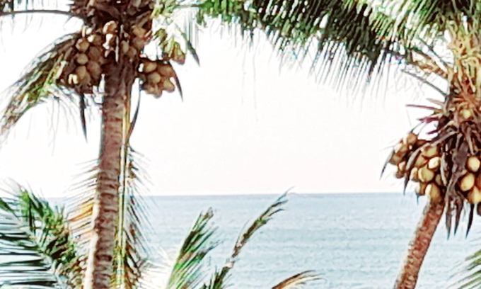 Matara Apartment | Oceanfront Bliss at The Ocean Villa: Pet-Friendly Retreat