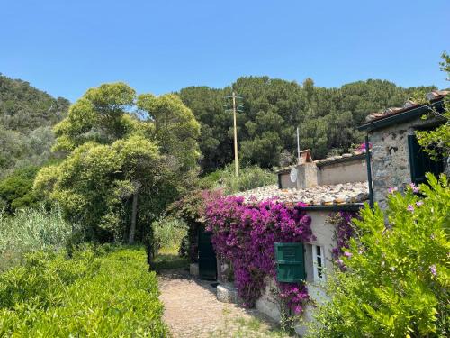 Magazzini Villa | Enjoy The Old Mill with Private Garden & Pet-Friendly Stay