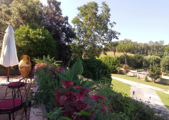 Cassia Villa | Exceptional Stay at The Olive Grove Roma Guest House