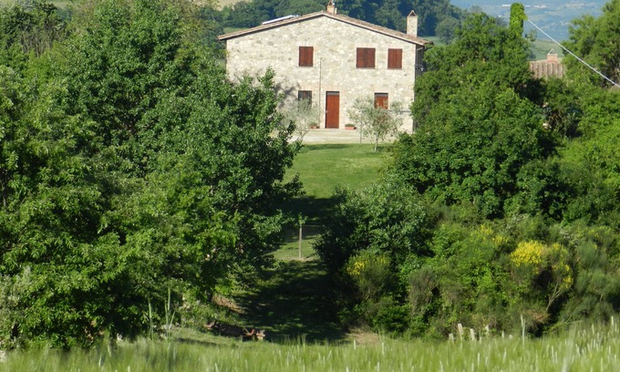 Loreto Other | Relaxing Stay at The Olive Tree Apartment with Pool & Dining