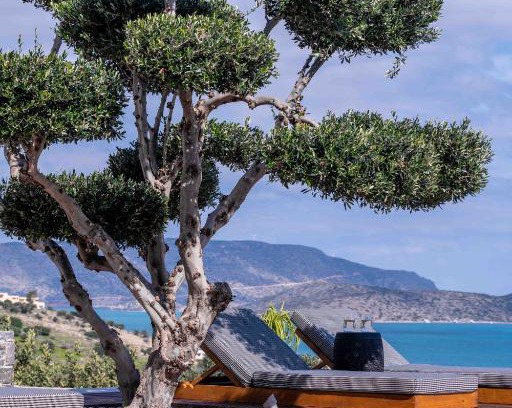 Agios Nikolaos Villa | Experience The Olive Tree Villa Elounda - Rated 9.9/10!