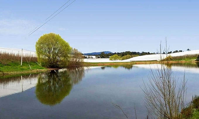 Gruyere House | The Orchard House - A quiet country getaway.