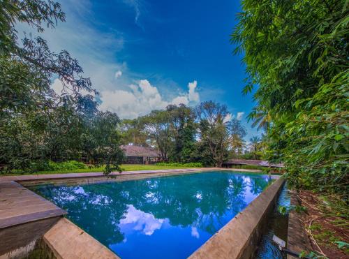 Belagavi Hotel | Relaxing Escape at The Orchard Resort with Ocean Views