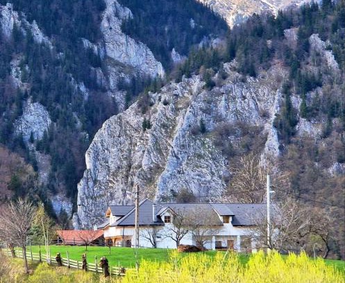 Moieciu House | Welcome to The Origin: Mountain Guesthouse in Magura