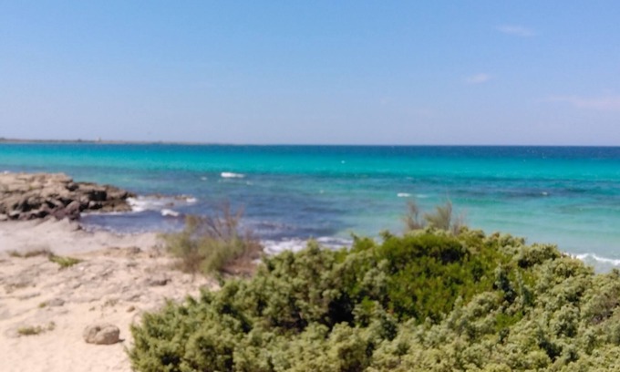 Trepuzzi Apartment | Discover The Palace: Bright Apartment Close to Lecce
