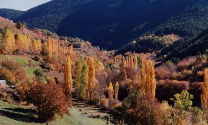 Llagunes Cottage | Experience The Pallé de Cal Bosch: Lake View Rural Retreat