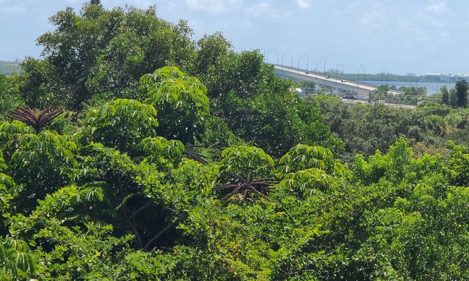 Jensen Beach Cottage | Secluded Retreat at The Palms with Intracoastal Views