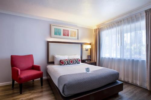 Palo Alto Hotel | Pet-Friendly Oceanfront Escape at The Palo Alto Inn