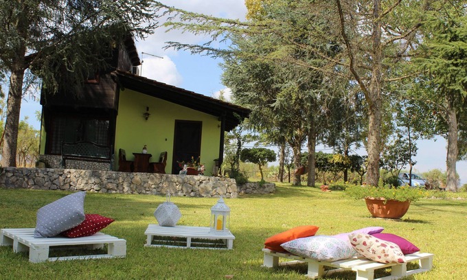Carmiano House | Experience Paradise with Oceanfront Views & Pet-Friendly Stays