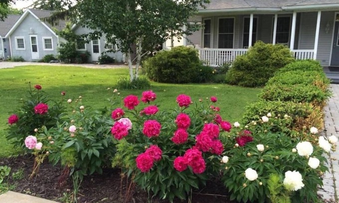 Laporte House | Guest Rated 9.4: The Pavilion at the Park with Breakfast