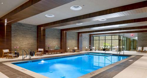 Downtown Portland Hotel | Discover The Porter Portland: A Pet-Friendly Retreat