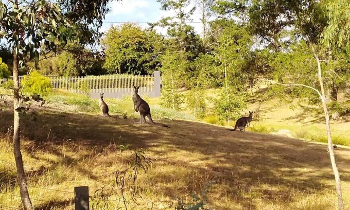 Hepburn Springs House | The Purple House - corner spa, views and wildlife in tranquil Hepburn Springs