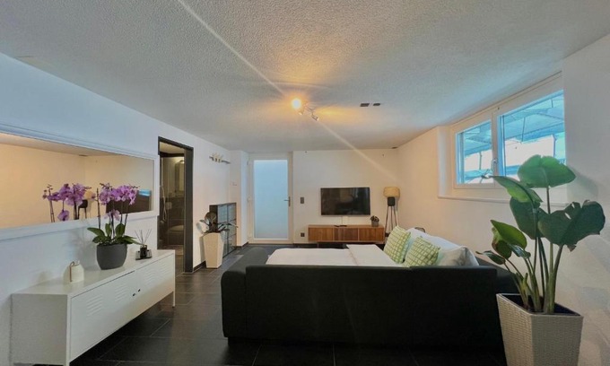 Obergosgen Apartment | Experience The R Apartment Froburg with Parking & Netflix