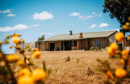 Grahamstown Cabin | Child-Friendly Retreat: The Ranch House at African Safari Lodge