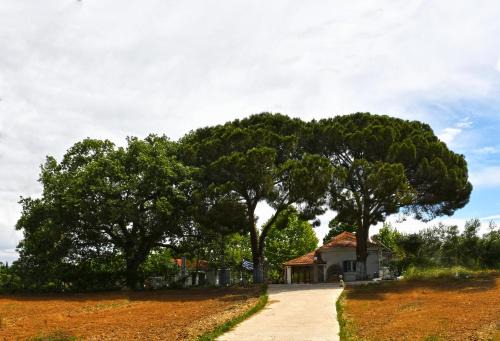 Ilida House | Experience The Ranch of Ancient Ilida - 4-Star Getaway!