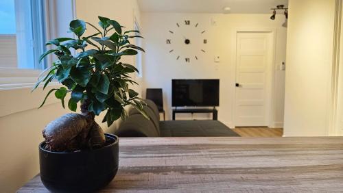 Rawdon Apartment | Discover The Rawdon Queen: Pet-Friendly & Family-Oriented Stay