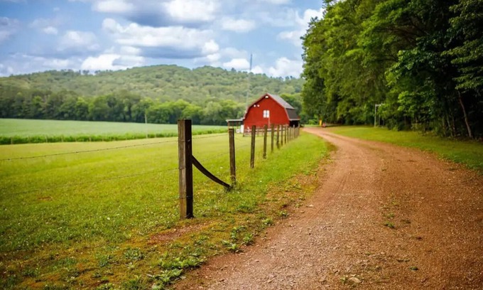 Cave Spring House | Discover Family-Friendly Comfort at The Red Barn Hotel