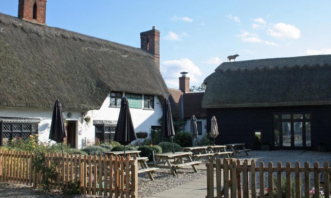 Chrishall Hotel | Pet-Friendly Retreat at The Red Cow with Top Guest Rating