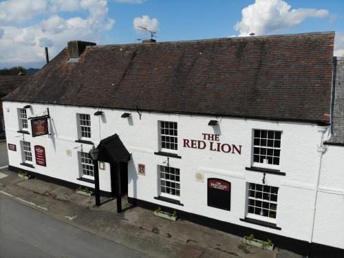 Arlingham Hotel | Discover The Red Lion Arlingham: Pet-Friendly Retreat Awaits